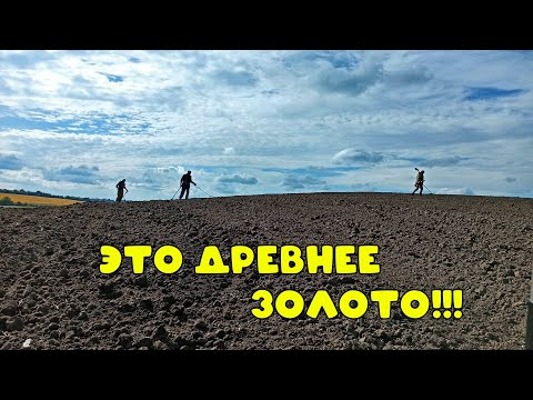 Видео: Находка джек пот , Золото ЧК!