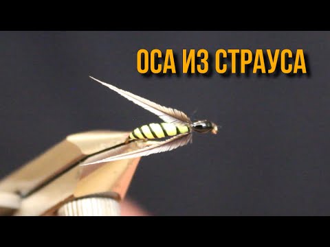 Видео: Мушки на хариуса: Оса из страуса