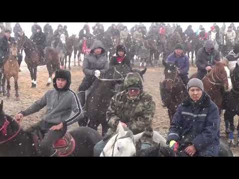 Видео: Жетісай қаласы Аманжол атамызбен Аманкүл әжеміз Ағабек әкемізді еске алу ас көкпары 19 02 2024