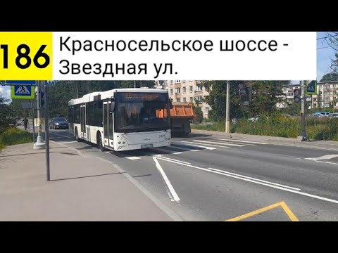 Видео: Автобус 186. Красносельское шоссе - Звездная ул.