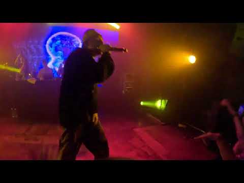 Видео: SIDODGI DUBOSHIT - F.E.A.R. (Санкт-Петербург 2024)