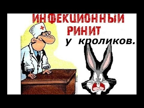 Видео: Ринит у кроликов(симптомы и причины).