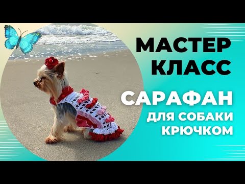 Видео: Вяжем платье "ФЛОРИ" (сарафан) для собак крючком: МК | Dress for a dog by crochet: master class