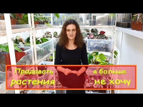 Видео: Продавать растения я больше не хочу