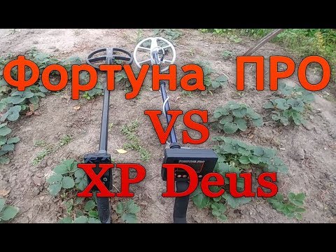 Видео: Фортуна ПРО vs XP Deus