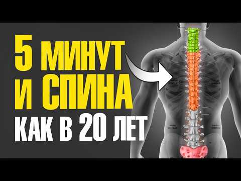 Видео: 5 МИНУТ НЕ ВСТАВАЯ С КРОВАТИ | Только ЭТА зарядка снимет боль и омолодит спину