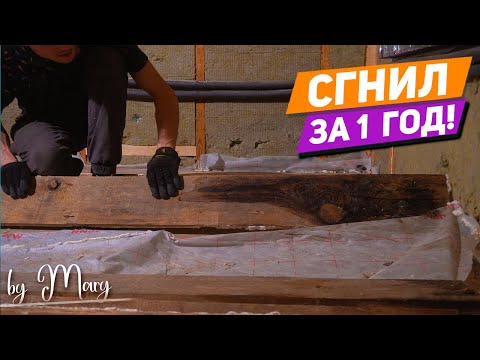 Видео: Как избавиться от деревянного пола по лагам ЗА ГОД? Сделать самую популярную ошибку!