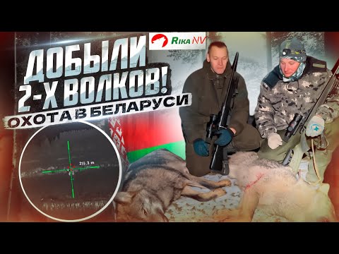Видео: Добыли двух волков! Охота на хищника в республике Беларусь с тепловизором RikaNV HRS 640 LRF