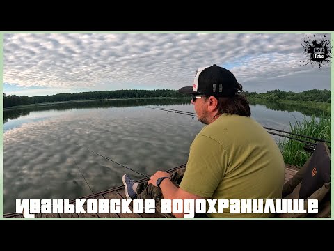 Видео: Иваньковское водохранилище, Коровинский залив, река Волга  Рыбалка на поплавок и карповые снасти .