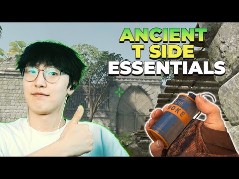 Видео: Ancient T талаасаа хэрхэн тоглох вэ | CS2 Зөвлөгөө
