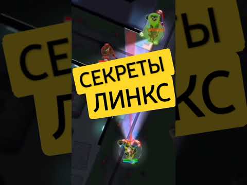 Видео: Секреты Линкс в Буллет эхо. Bullet echo.