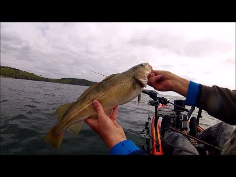 Видео: Поймайте и приготовьте рыбу - треску - простой и вкусный рецепт!