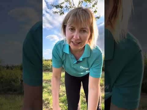 Видео: Вправи на покращення амплітуди рухів руками в скандинавській ходьбі 