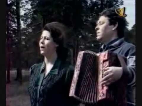 Видео: Заволокины  Ворона гнездо себе ладит