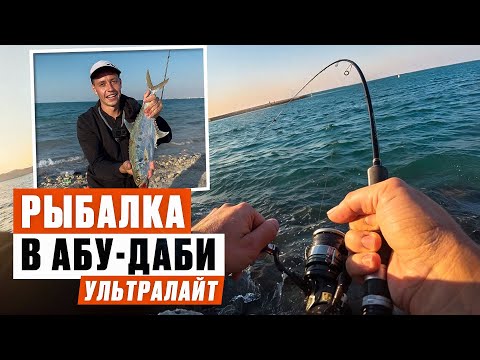 Видео: ПОКЛЕВКИ С КАЖДОГО ЗАБРОСА. Рыбалка в Абу-Даби. Ультралайт в море. ОАЭ