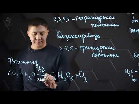 Видео: Глюкоза. Глюкозаның қасиеттері. 11 сынып.