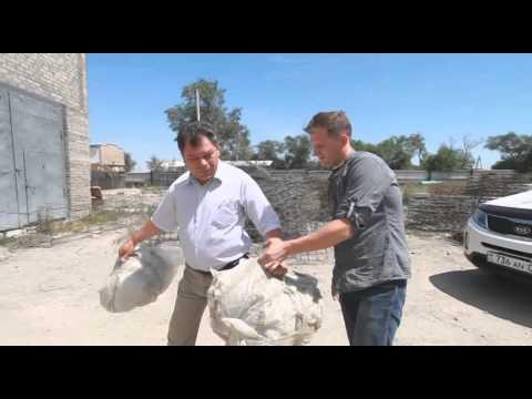 Видео: Большие города. Уштобе