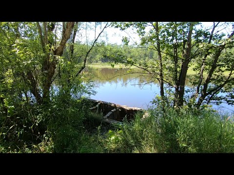 Видео: Монгохто✈ Озеро "Карасёво" прогулка 07.08.2023г. под песни Б.Акуджавы