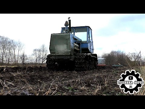 Видео: Легенда в деле! Трактор ХТЗ Т-150 пашет огород. Советская классика