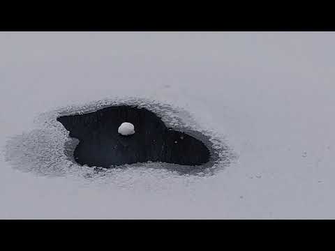 Видео: Пруд зимой, незамерзающая лунка, антиобледенитель OASE Icefree 20 в работе.