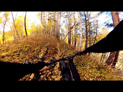 Видео: Неизвестная Белка (часть 1): подъём по истокам ручья Шиши