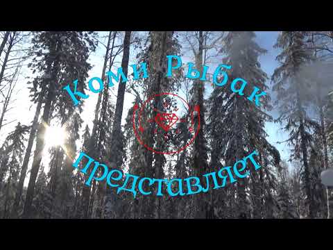 Видео: Трудовая и опасная рыбалка на ХАРИУСА \ Пробиваем дорогу к лесной речке на Урагане\ ДР в лесной избе