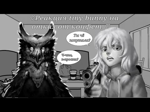 Видео: | реакция tiny bunny на отказ от конфет (4 эпизод) /