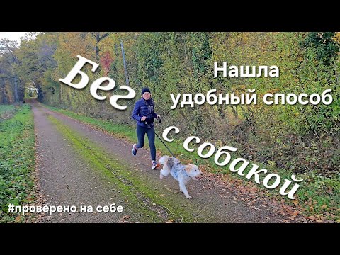 Видео: Нашла удобный способ бегать с собакой. Пояс поводок лучшее решение для меня и Ондин