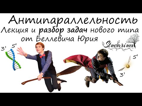 Видео: Задачи на антипараллельность. Лекция и подробный разбор задач от Беллевича Юрия