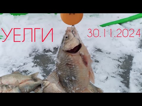 Видео: УЕЛГИ 30.11.24.Открытие зимней рыбалки