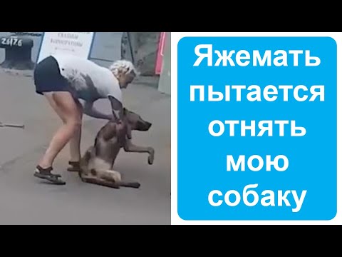 Видео: Яжемать пытается забрать мою собаку. Яжемать истории