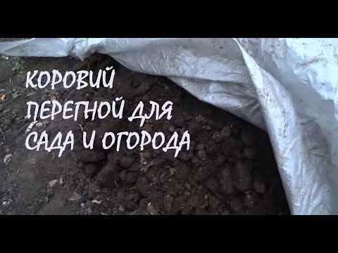 Видео: КУРЬЕР WB привез САЖЕНЦЫ и ГРУНТ Собрали и отправили 4 ПОСЫЛКИ Привез КОРОВИЙ ПЕРЕГНОЙ_17.10.2025