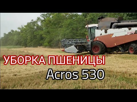 Видео: Уборка пшеницы. Комбайн Acros 530.