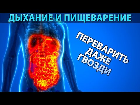 Видео: Переварить даже гвозди: Бутейко о питании | Здоровое пищеварение, биохимия и CO2