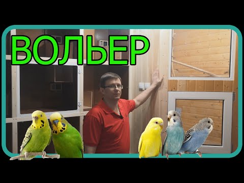 Видео: Разведение волнистых попугаев.Новый вольер.