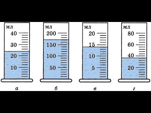 Видео: Цена деления.