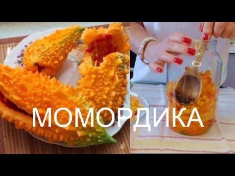 Видео: ДАЧА//РАСТЕНИЕ ОТ ВСЕХ БОЛЕЗНЕЙ//ЕЕ ВЕЛИЧЕСТВО - МОМОРДИКА//