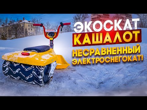 Видео: Электроснегокат "Кашалот" везет взрослых и детей!