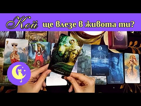 Видео: Изненада! КОЙ ще влезе в живота ти? ❤️ Таро четене за любов, чувства и отношения