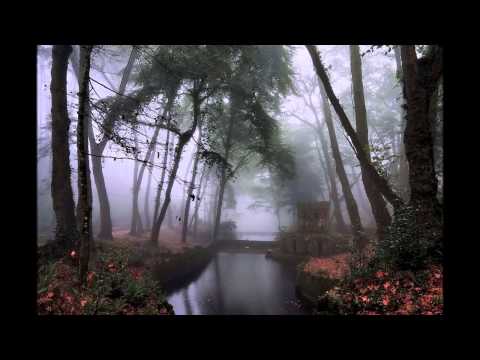 Видео: Flëur - Черта