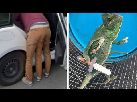 Видео: Фото, которые тебя удивят (часть 27)