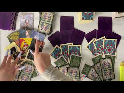 Видео: Что он будет делать дальше в вашу сторону?