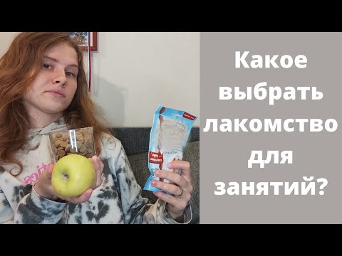 Видео: Лакомство для дрессировки. Что выбрать?