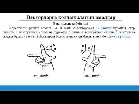 Видео: 5 Векторлар (2)