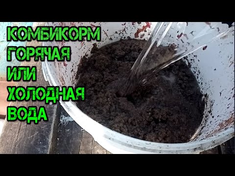 Видео: НУЖНО ЛИ ЗАПАРИВАТЬ КОМБИКОРМ И В КАКОЙ ВОДЕ