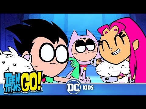 Видео: Бэтмен Unlimited Pоссия | Больше котиков!😻😽😼 | DC Kids