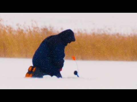 Видео: ЖЕСТЬ, А НЕ РЫБАЛКА! ЕЛЕ УНЕСЛИ НОГИ! Рыбалка на жерлицы! Зимняя рыбалка!