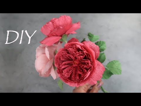 Видео: АНГЛИЙСКАЯ роза из гофрированной бумаги. Роза ДЭВИДА ОСТИНА.