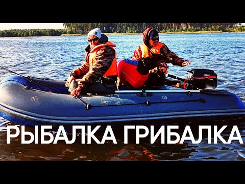 Видео: Рыбалка, грибалка, отдых на природе.  Весьегонск, Рыбинское водохранилище