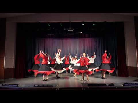 Видео: Образцовый коллектив ансамбль народного танца "Веселинка",  "Ой на горе калина"